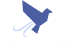 new-jav-net.theporn.how
